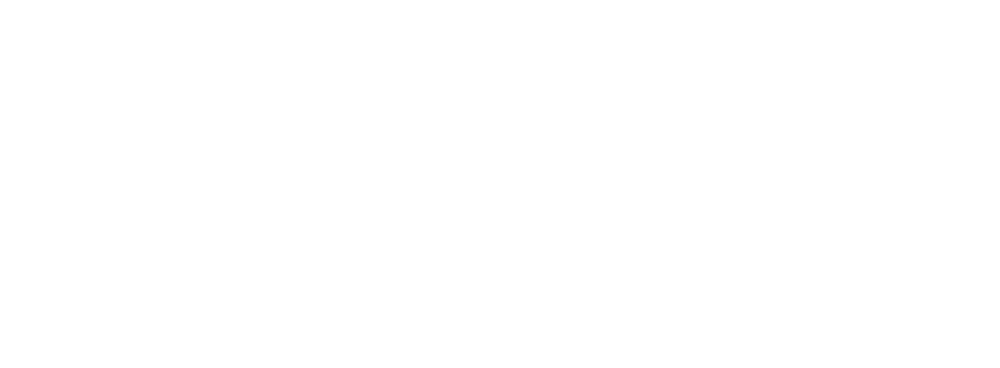 Citizens Before Politics 